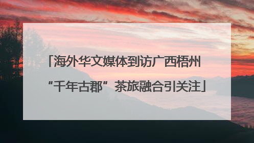 海外华文媒体到访广西梧州 “千年古郡”茶旅融合引关注